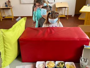 Agrandir l'image, .JPG 196,2 Ko (fenêtre modale)